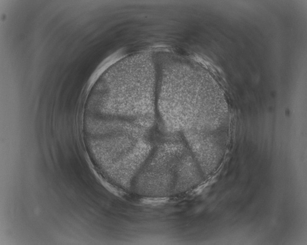 X0000081490051200702100040