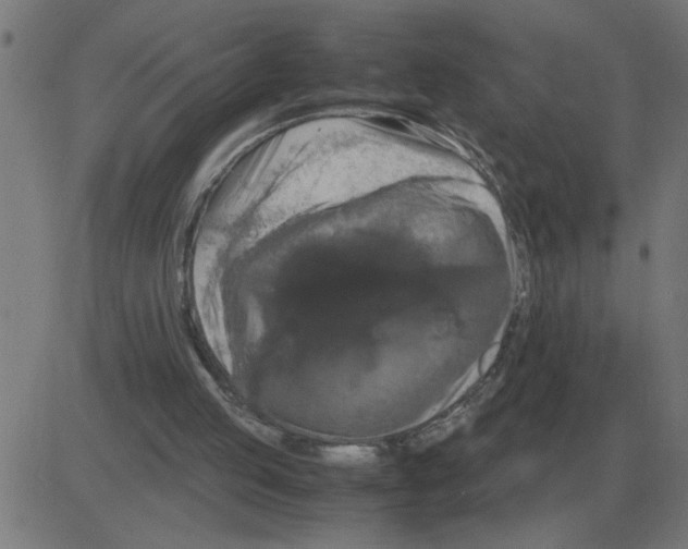 X0000081490053200702100040