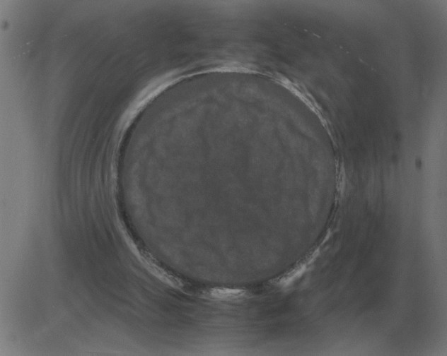 X0000081490055200702100040