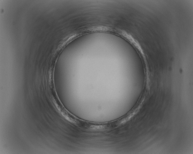 X0000081490057200702100040