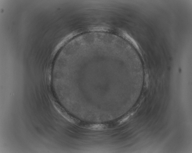 X0000081490059200702100040