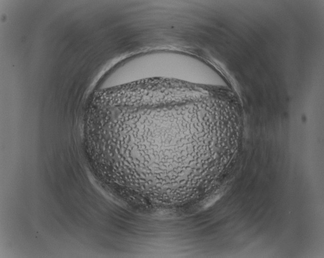 X0000081490060200702100040