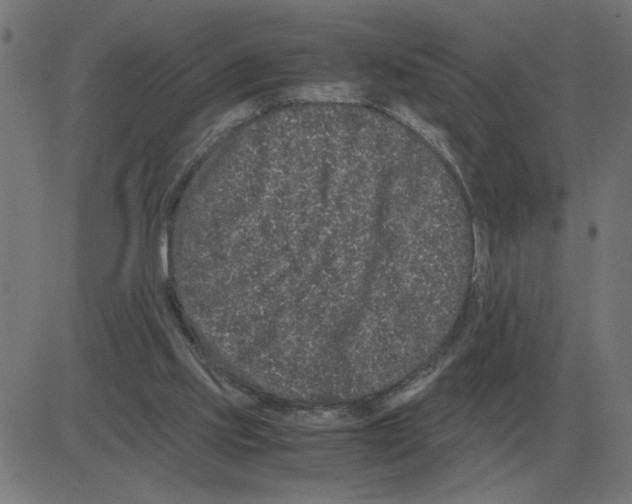 X0000081490061200702100040