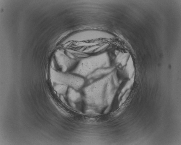 X0000081490062200702100040