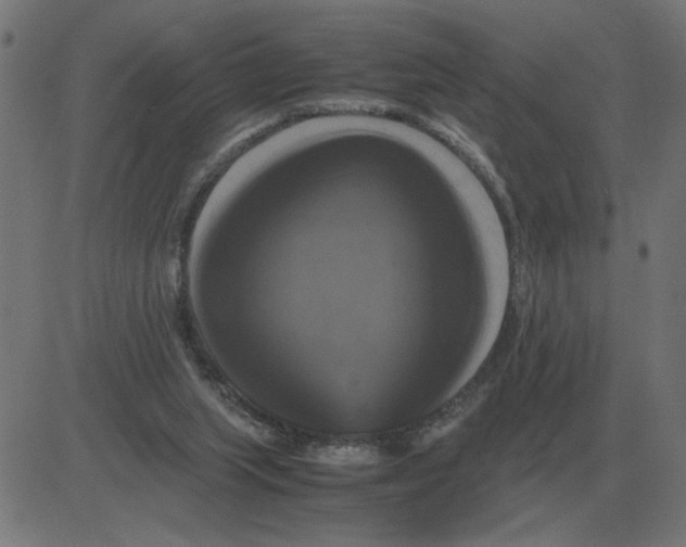 X0000081490063200702100040