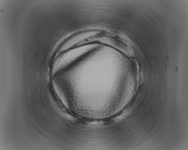 X0000081490064200702100040