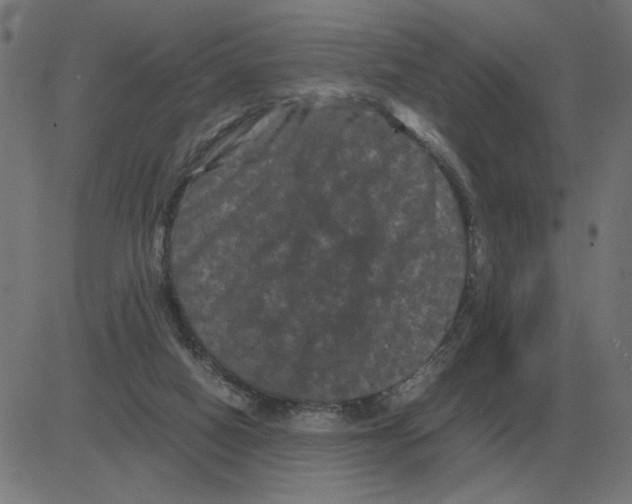 X0000081490066200702100040