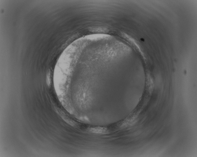 X0000081490069200702100040