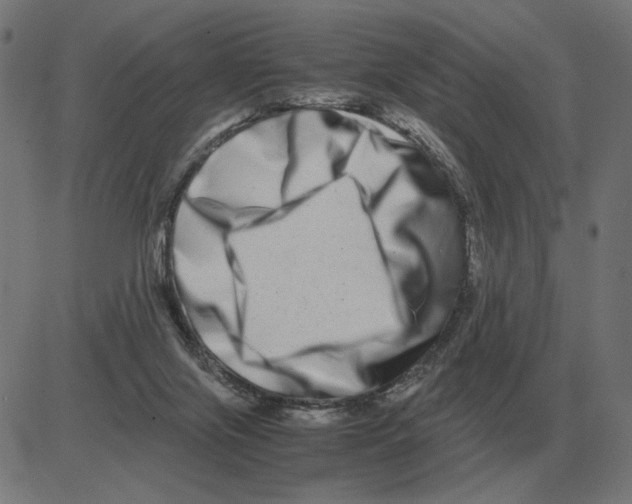 X0000081490071200702100040