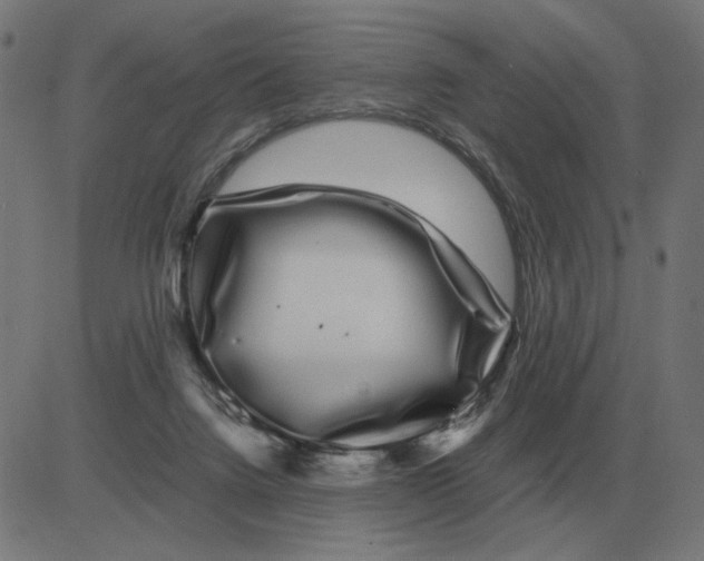 X0000081490072200702100040