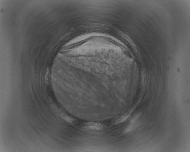 X0000081490073200702100040