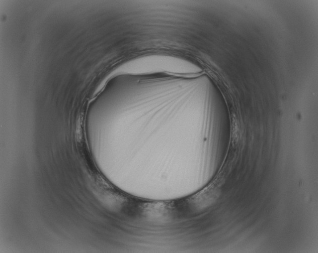 X0000081490074200702100040