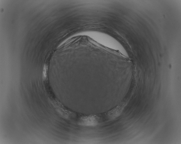 X0000081490075200702100040