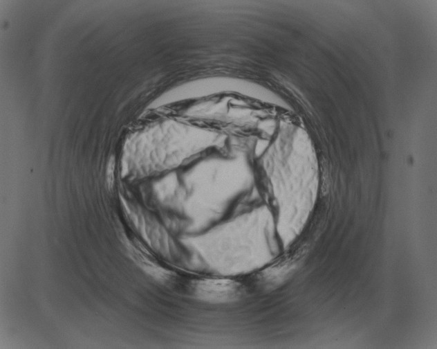 X0000081490077200702100040