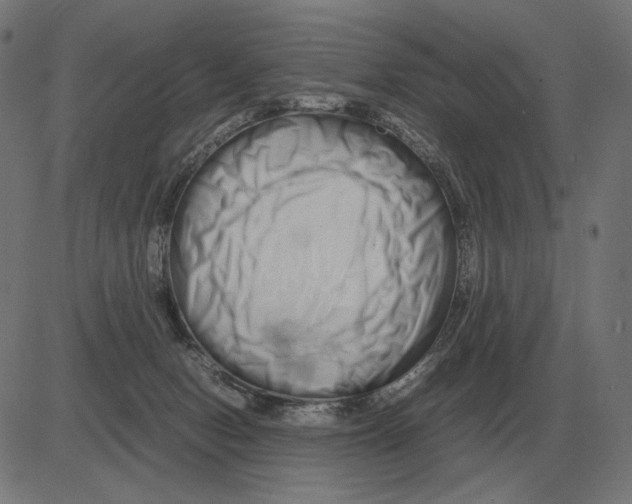 X0000081490078200702100040