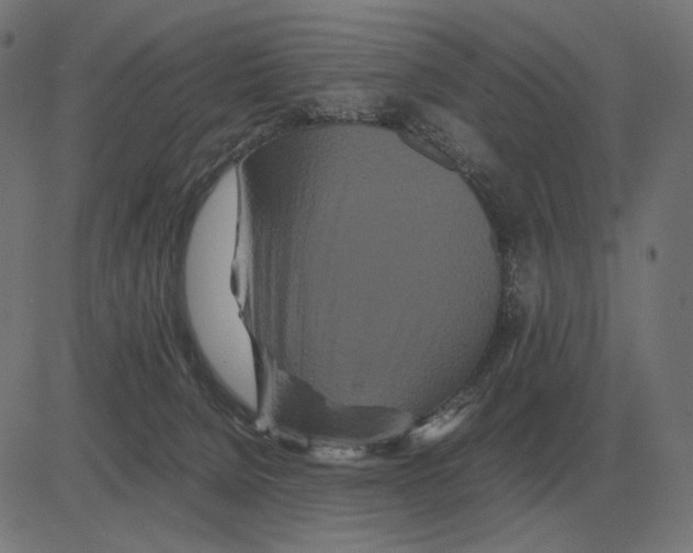 X0000081490080200702100040