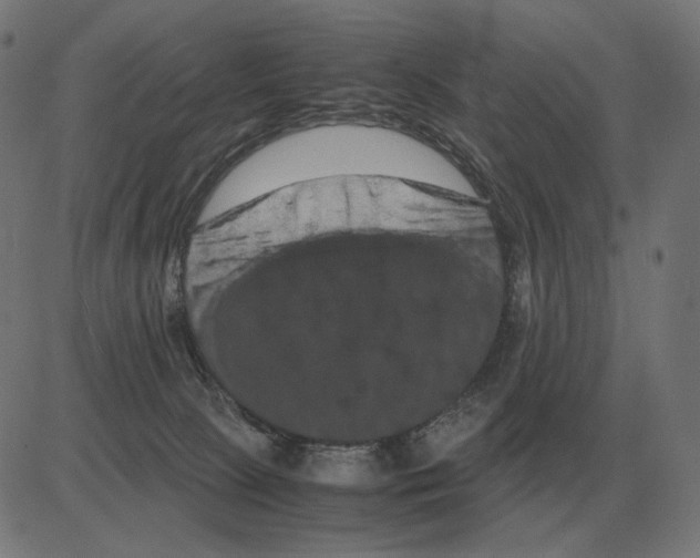 X0000081490081200702100041