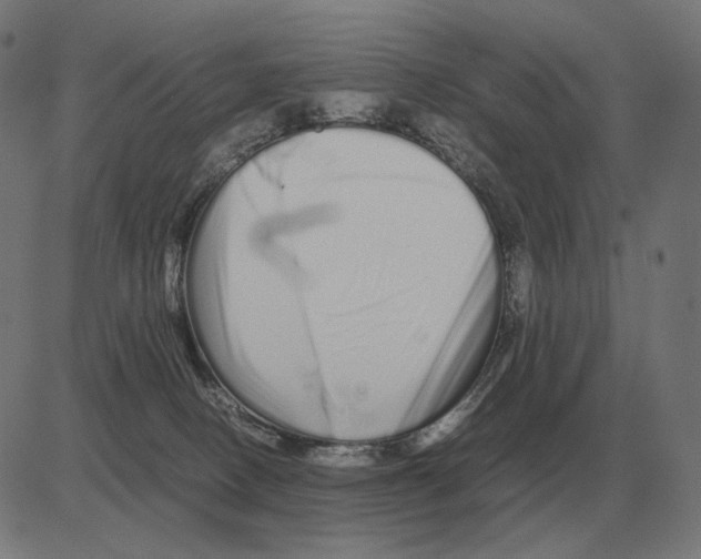 X0000081490082200702100041