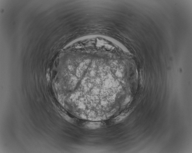 X0000081490085200702100041