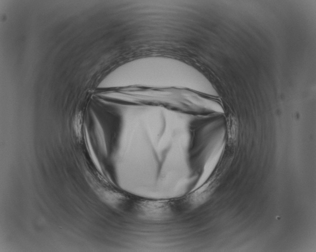 X0000081490086200702100041