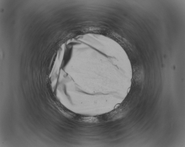 X0000081490087200702100041