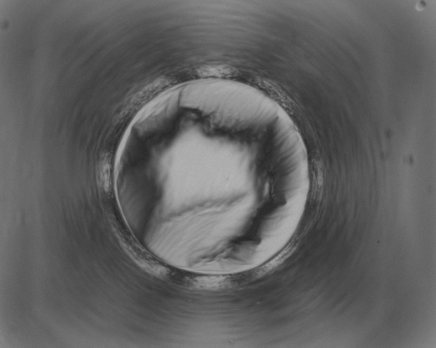 X0000081490090200702100041