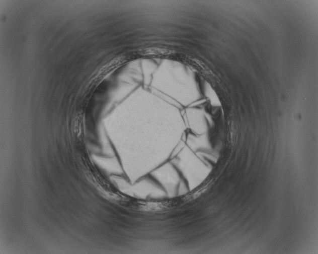 X0000081490091200702100041