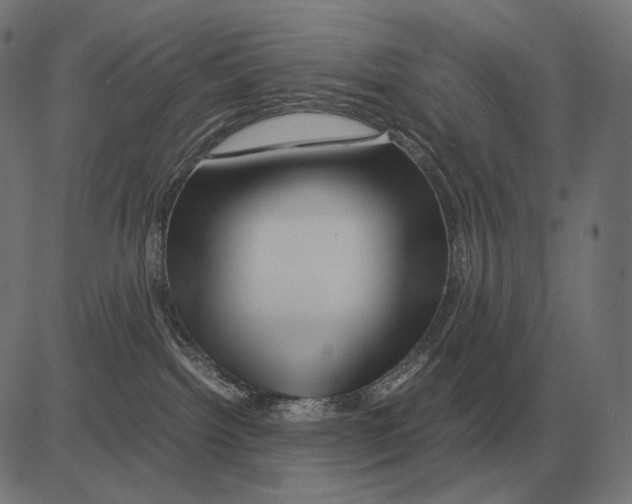 X0000081490092200702100041