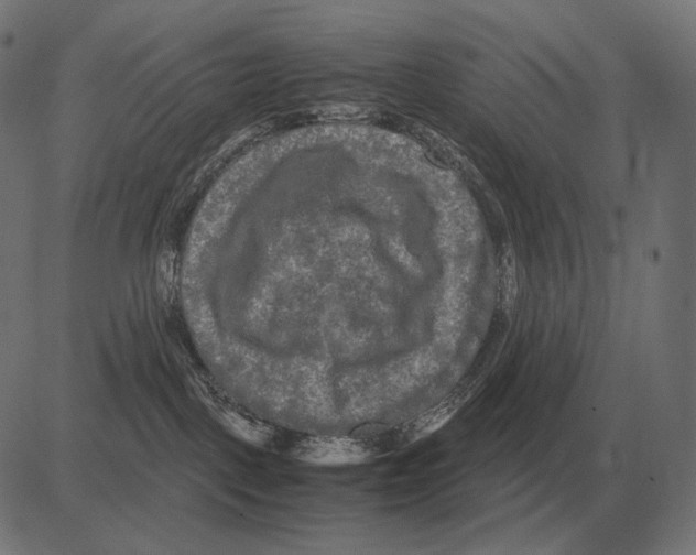 X0000081490093200702100041