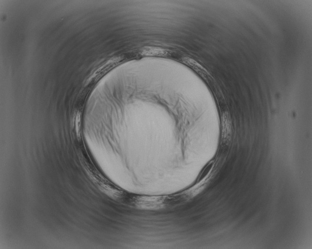 X0000081490094200702100041