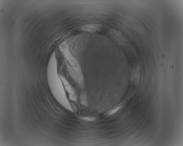 X0000081490095200702100041