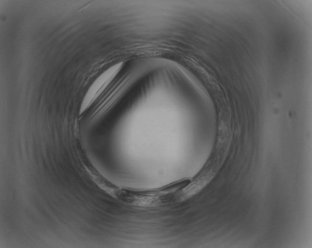 X0000081490096200702100041