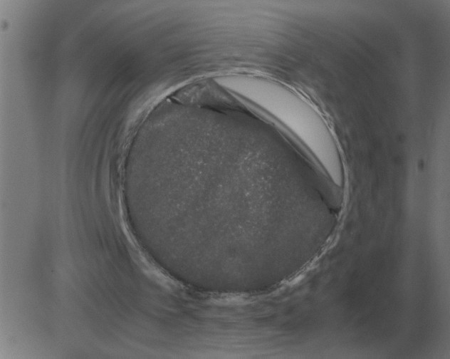 X0000081490097200702100040