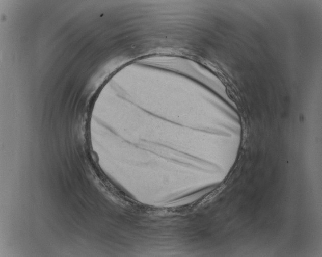 X0000081490098200702100040