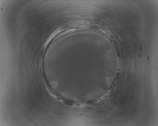 X0000081490099200702100040