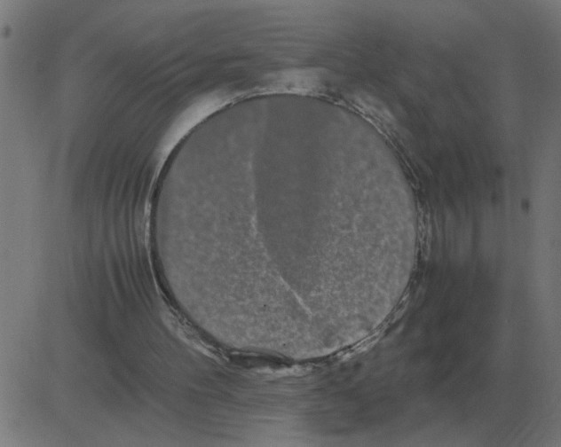 X0000081490100200702100040