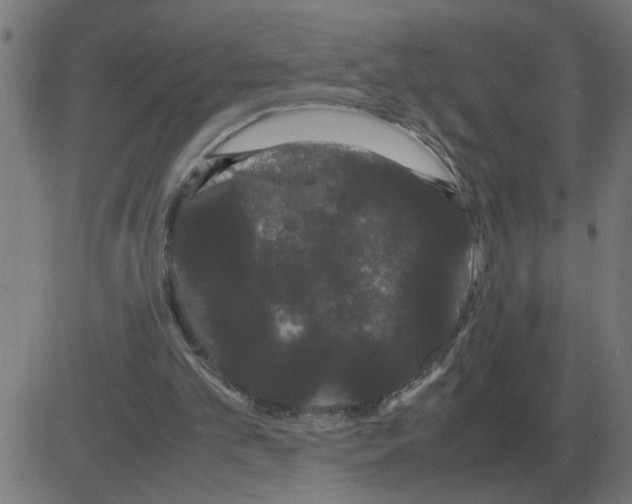 X0000081490101200702100040