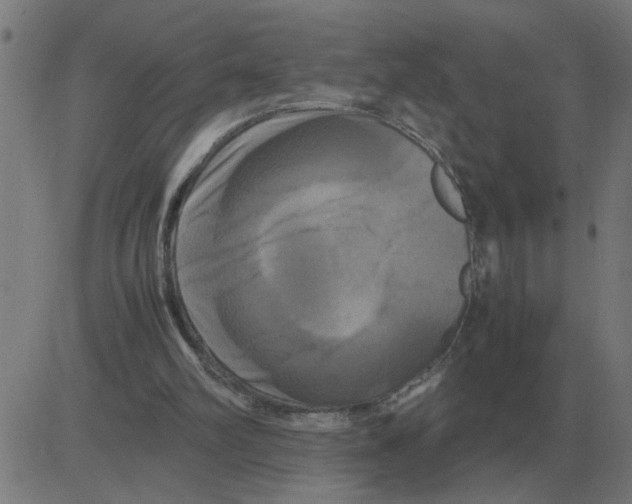 X0000081490102200702100040