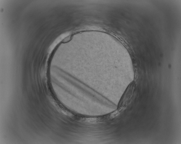 X0000081490104200702100040