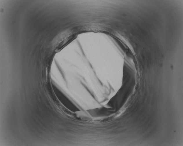 X0000081490109200702100040