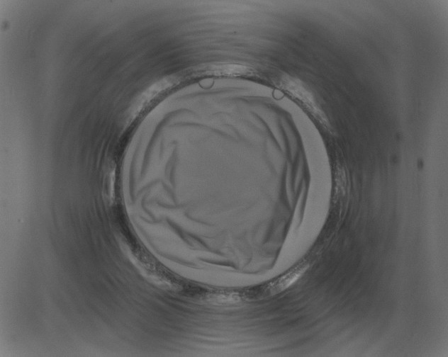 X0000081490110200702100040