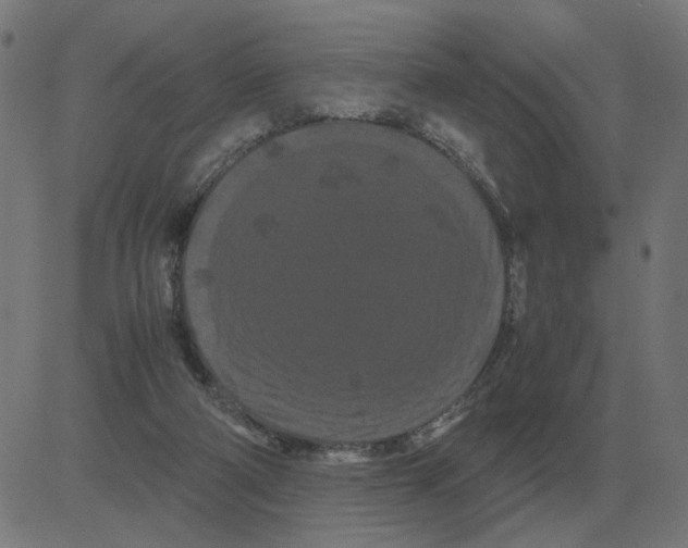 X0000081490114200702100040