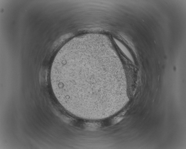 X0000081490115200702100040