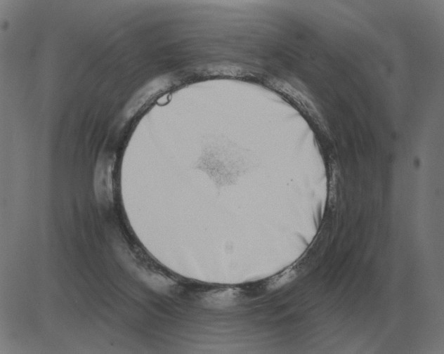 X0000081490116200702100040