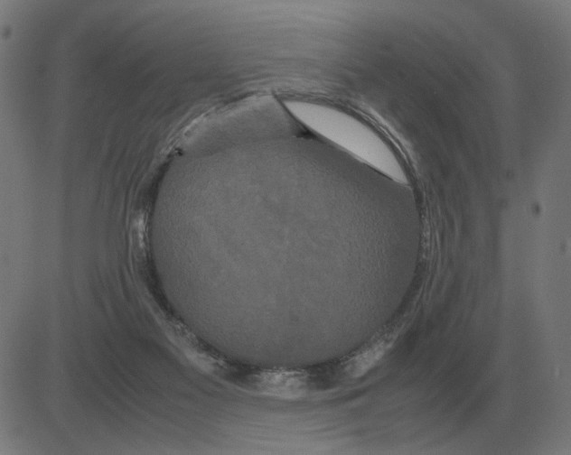 X0000081490117200702100040