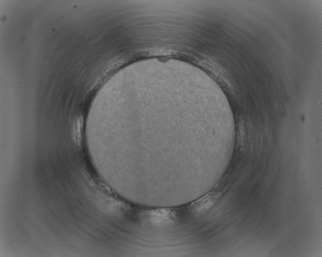 X0000081490118200702100040