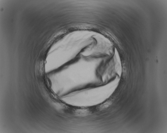 X0000081490119200702100040