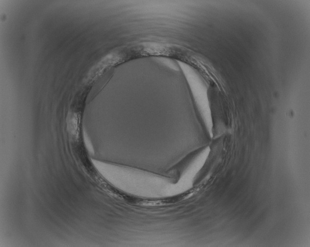 X0000081490121200702100040