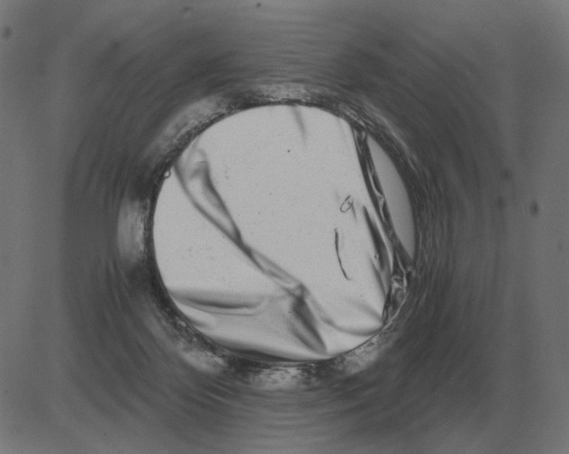 X0000081490124200702100040