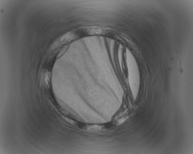 X0000081490125200702100040